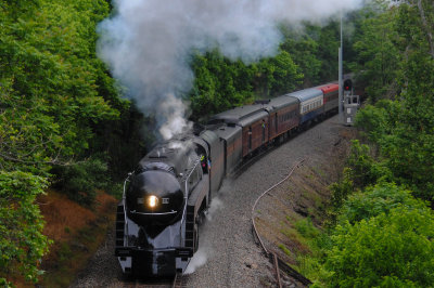 g9/17/985817/3/164705439.srwNE9ZL.jpg
