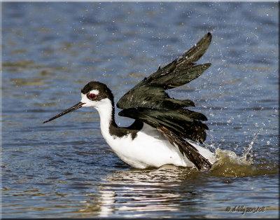 'bath time'