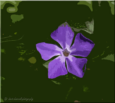 IMG_7118-cutout.jpg