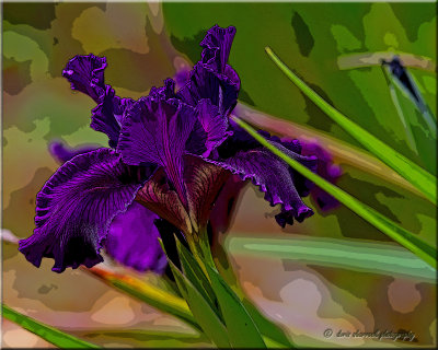 IMG_9434-dry brush.jpg