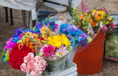 so many flowers!.jpg