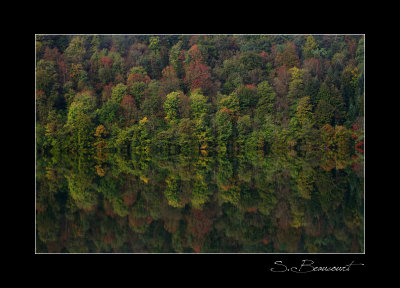 Miroir de l'automne