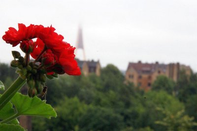 29.06.2013