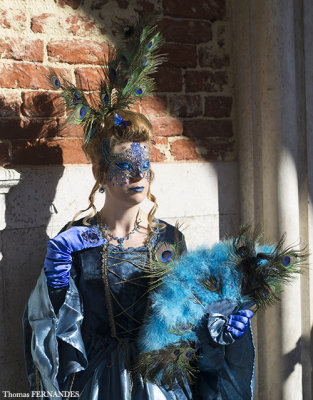 Carnaval de Venise 16 et 17 Février 2015