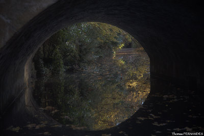 Pont vue sur zone végétale