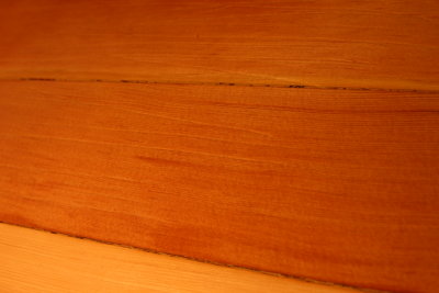 Scratches in fir area west of dining room 2.JPG