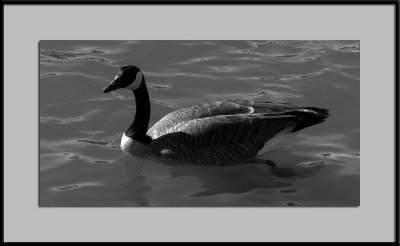Goose Lake