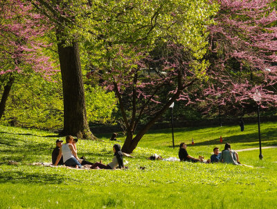 Afternoon in the Park