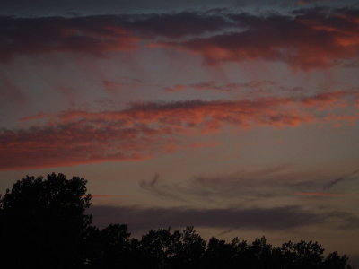 g9/18/1178218/3/160284091.dsZ9HW9h.jpg