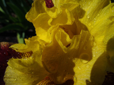 g9/18/1178218/3/160745737.VEFxQ0iS.jpg