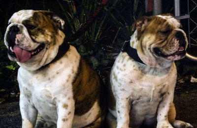 Mother & Son