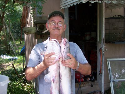 fish for supper