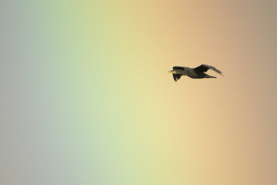 g9/18/1204318/3/162161831.1ah71SyU.jpg