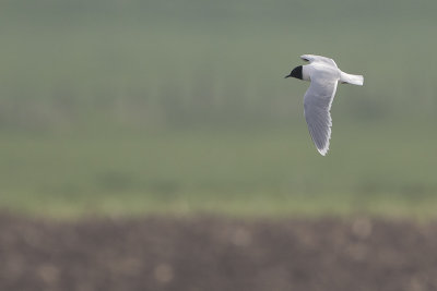 g9/18/1204318/3/162192737.aHuuVNeM.jpg