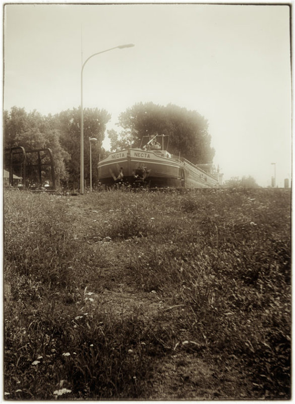 Ensing 220