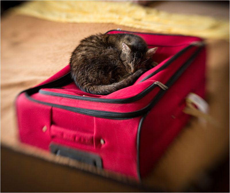 Dont forget me if you leave ...!