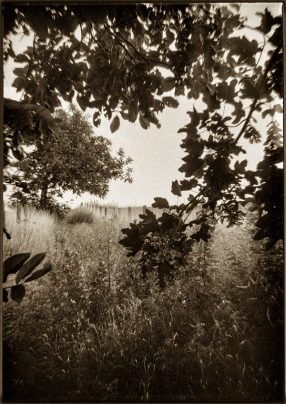 Ferrania Rondine