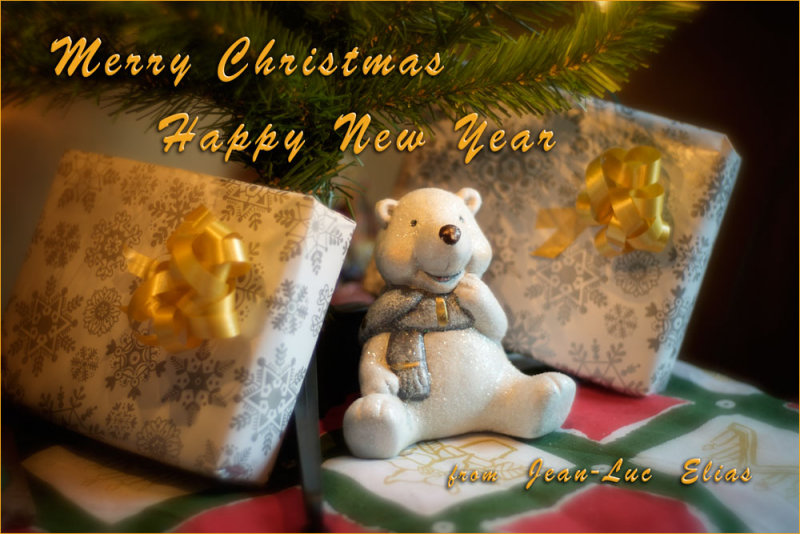 Merry Christmas and Happy New Year ! !
