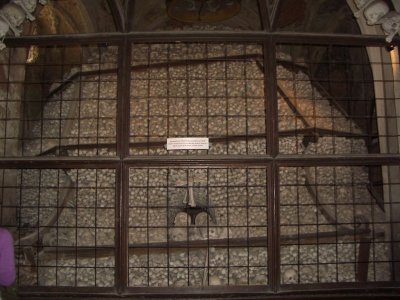 IMGP1253.JPG