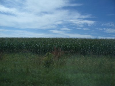 IMGP1538.JPG
