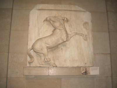IMGP2090.JPG