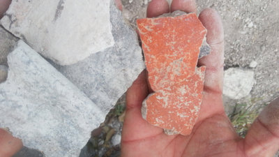 Monochrome Sherds