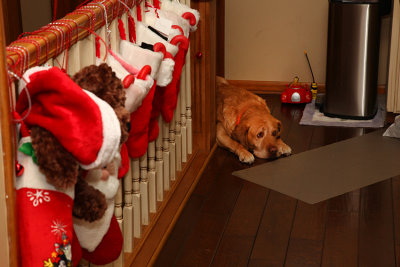 Guarding the Stockings