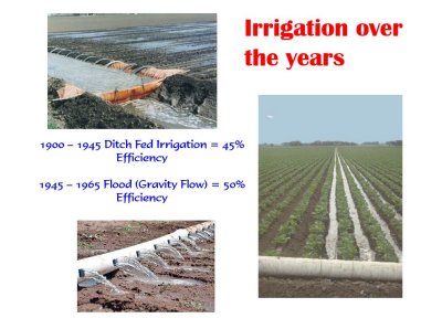 Flood Irrigation 