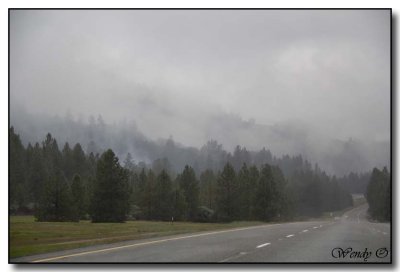 Near Shasta, California