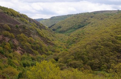 3014 Fingles Gorge - 3.jpg