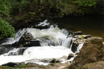 Waterfall-1.gif