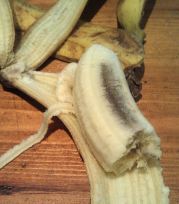 Rotting banana IMAG0011.jpg