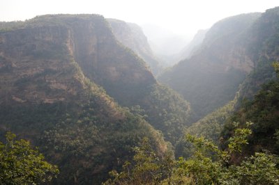 DSC_0339.jpg