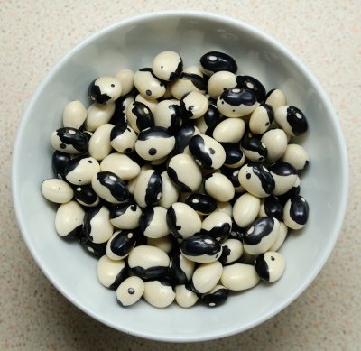 YinYang Beans-2 0488.jpg