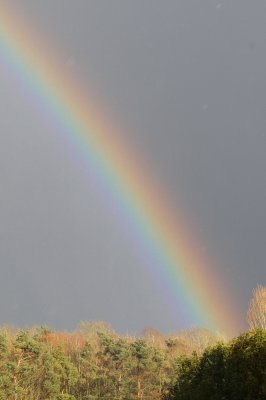 Rainbow-1 DSC_0944.jpg
