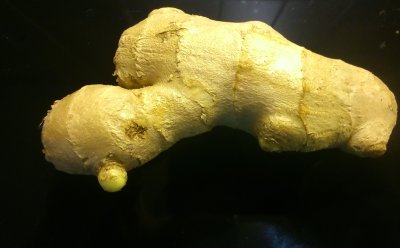 Growing Ginger & Turmeric at Home