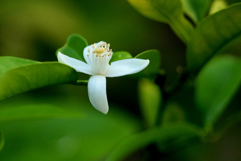 222A1377 copy.jpg