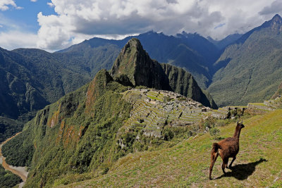 2016 PERU TRIP