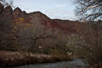CRW_3223.jpg