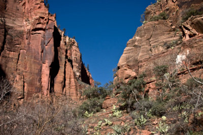 CRW_3259.jpg