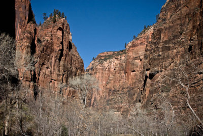 CRW_3270.jpg