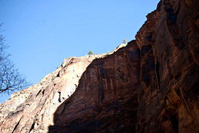 CRW_3271.jpg