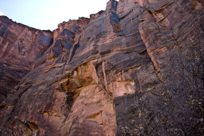 CRW_3276.jpg