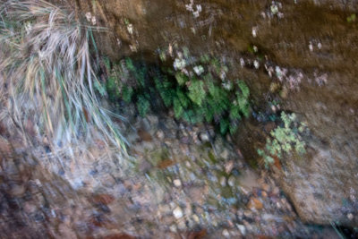 CRW_3322.jpg