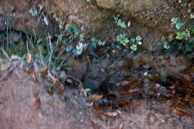 CRW_3323.jpg