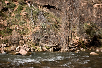 CRW_3369.jpg