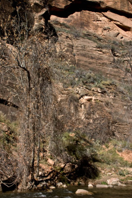 CRW_3371.jpg