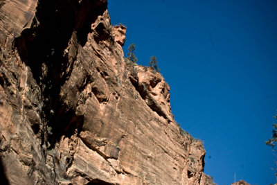 CRW_3380.jpg