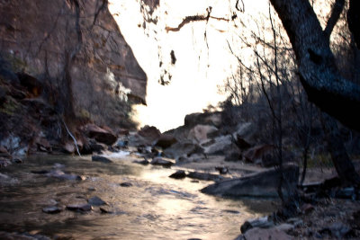 CRW_3387.jpg