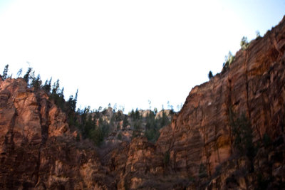 CRW_3390.jpg